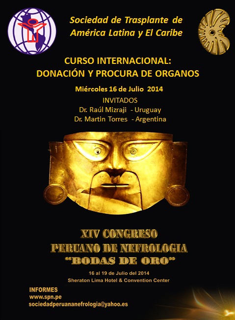 Afiche Curso STALYC