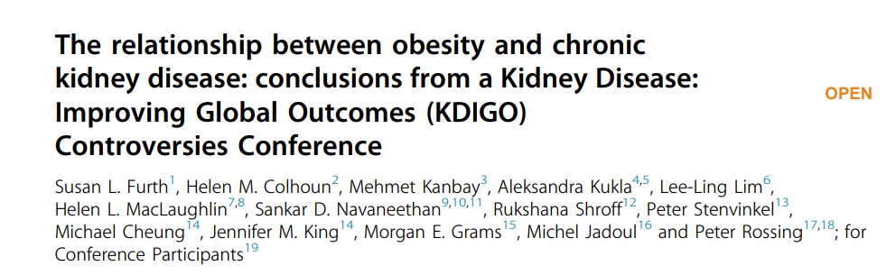 The relationship between obesity and chronic kidney disease: conclusions from a Kidney Disease: Improving Global Outcomes (KDIGO) Controversies Conference