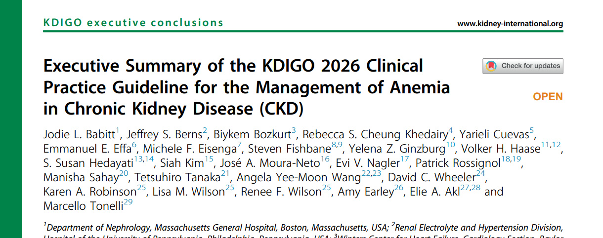 Executive Summary of the KDIGO 2026 Clinical Practice Guideline for the Management of Anemia in Chronic Kidney Disease (CKD)