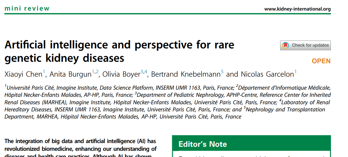 Artificial intelligence and perspective for rare genetic kidney diseases