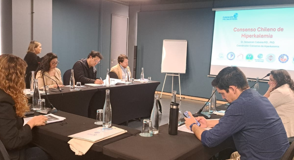 Se inició la primera fase del Consenso sobre Hiperkalemia en Chile