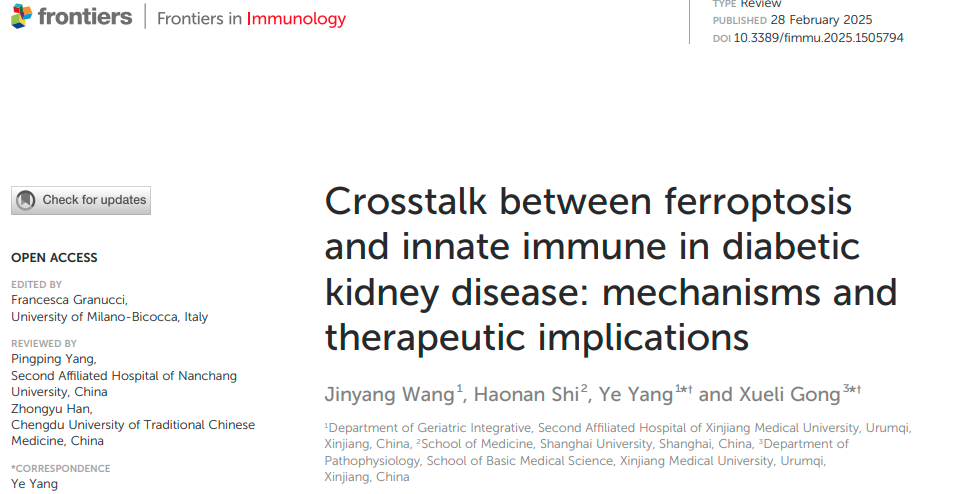 Crosstalk between ferroptosis and innate immune in diabetic kidney disease: mechanisms and therapeutic implications